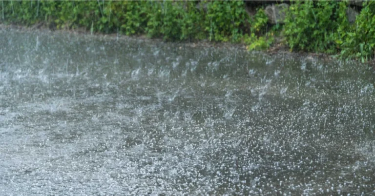 الحلم بالمطر الغزير والبرد