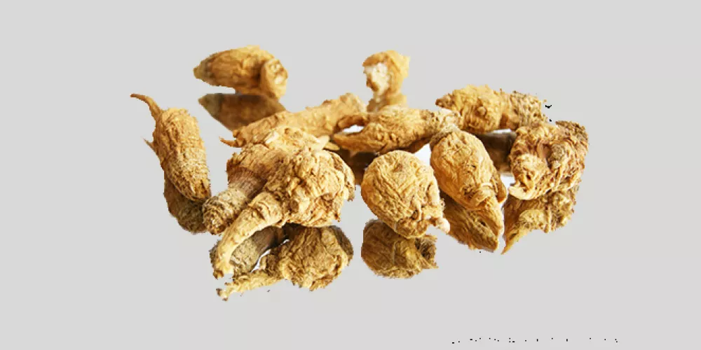 جذور الماكا