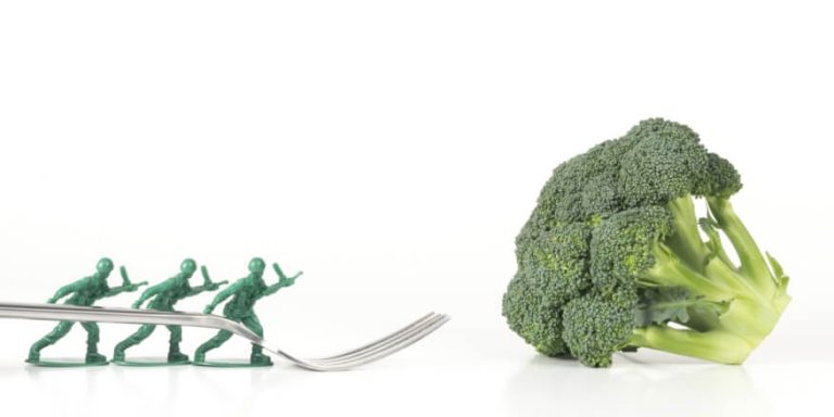 مفهوم الرجيم العسكري وكيف يعمل