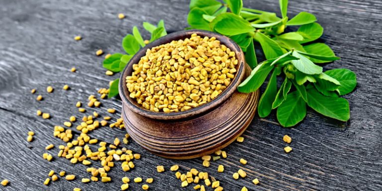 دور حبوب الحلبة في تخفيف النحافة وزيادة الوزن