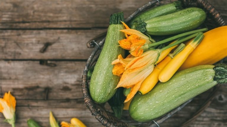 الحلم بالكوسة